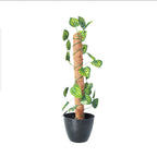 Artificial Money Plant in Pot – Pack of 2