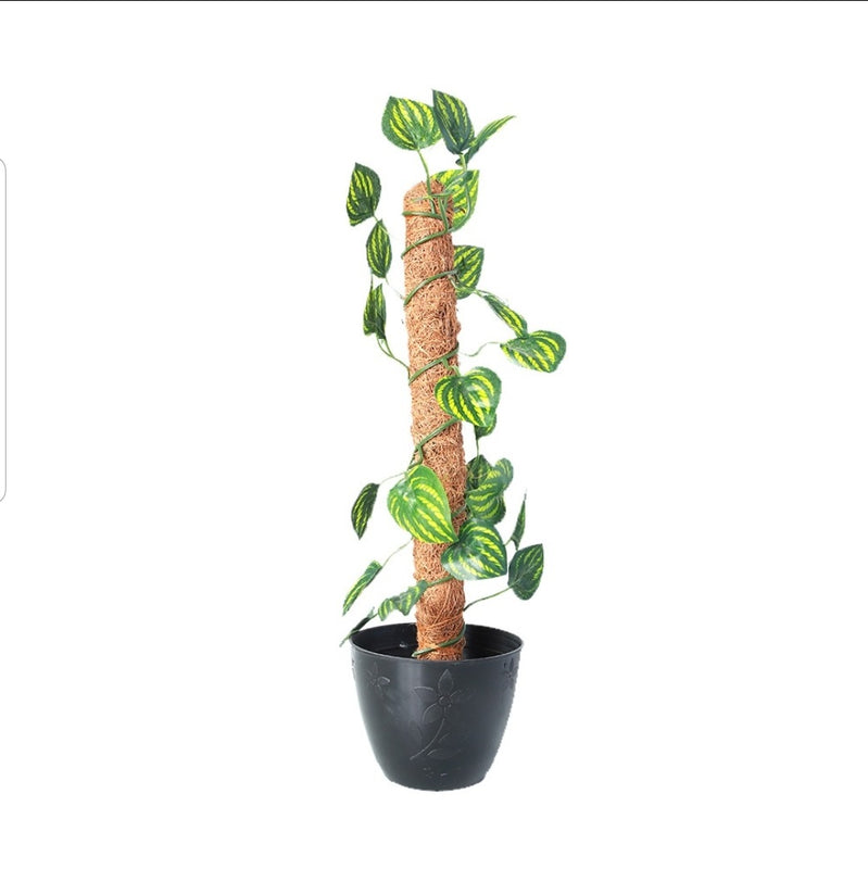 Artificial Money Plant in Pot – Pack of 2