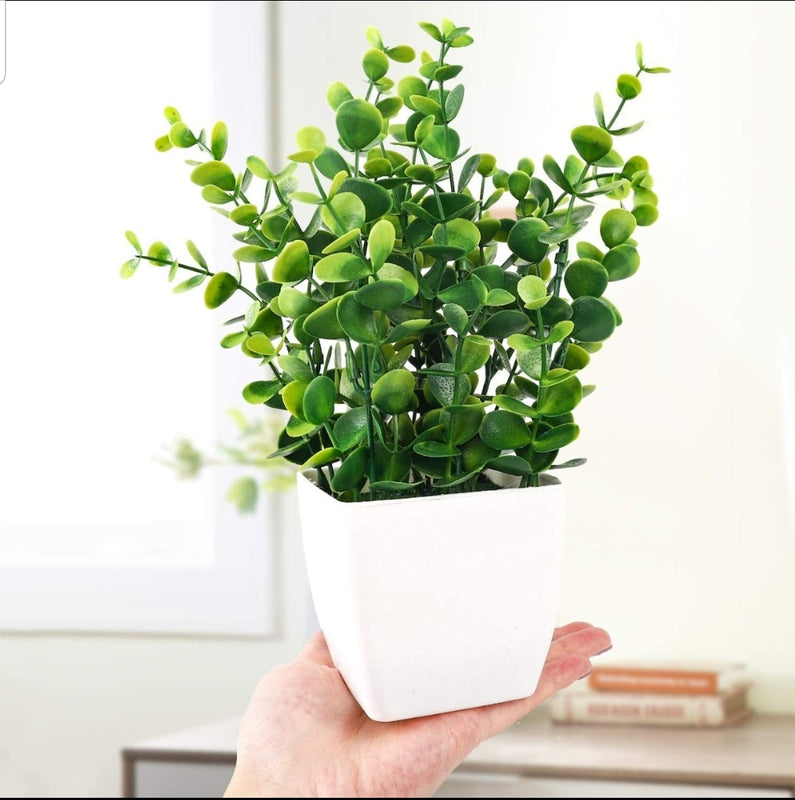 Small Artificial Decorative Plants – Pack of 5