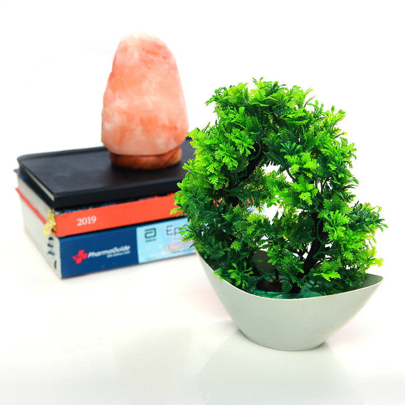 Artificial Green Leaf Plant – Pack of 2