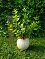 Small Artificial Decorative Plants – Pack of 5