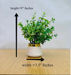 Deluxe Artificial Decorative Plants – Pack of 5