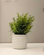 Deluxe Artificial Decorative Plants – Pack of 5