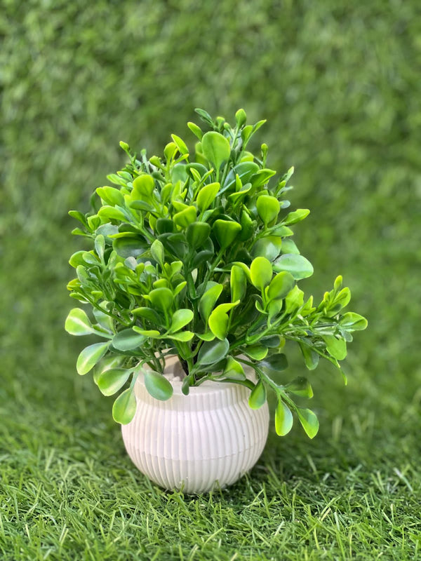 Deluxe Artificial Decorative Plants – Pack of 5