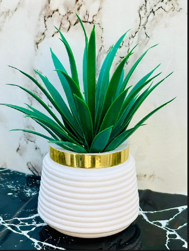 Premium Artificial Decorative Plants – Pack of 5