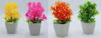Small Artificial Decorative Plants – Pack of 5