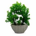 Artificial Desk Plant in Pot – Pack of 2