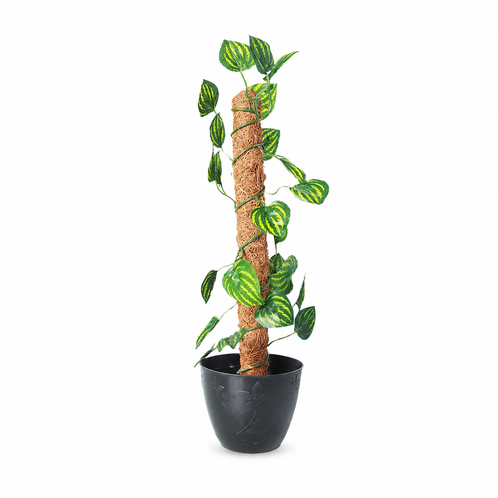 Artificial Money Plant in Pot – Pack of 2