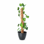 Artificial Money Plant in Pot – Pack of 2