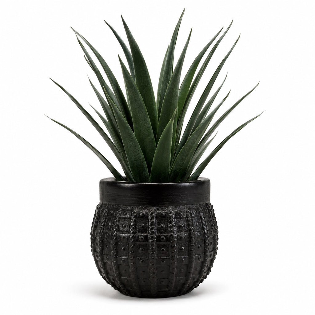 Artificial Aloe Vera Plant in Black Textured Pot – Pack of 2