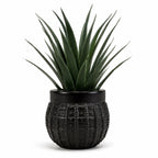 Artificial Aloe Vera Plant in Black Textured Pot – Pack of 2