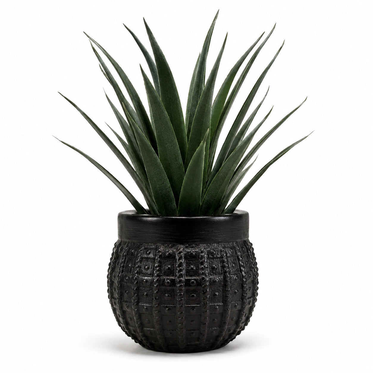 Artificial Aloe Vera Plant in Black Textured Pot – Pack of 2