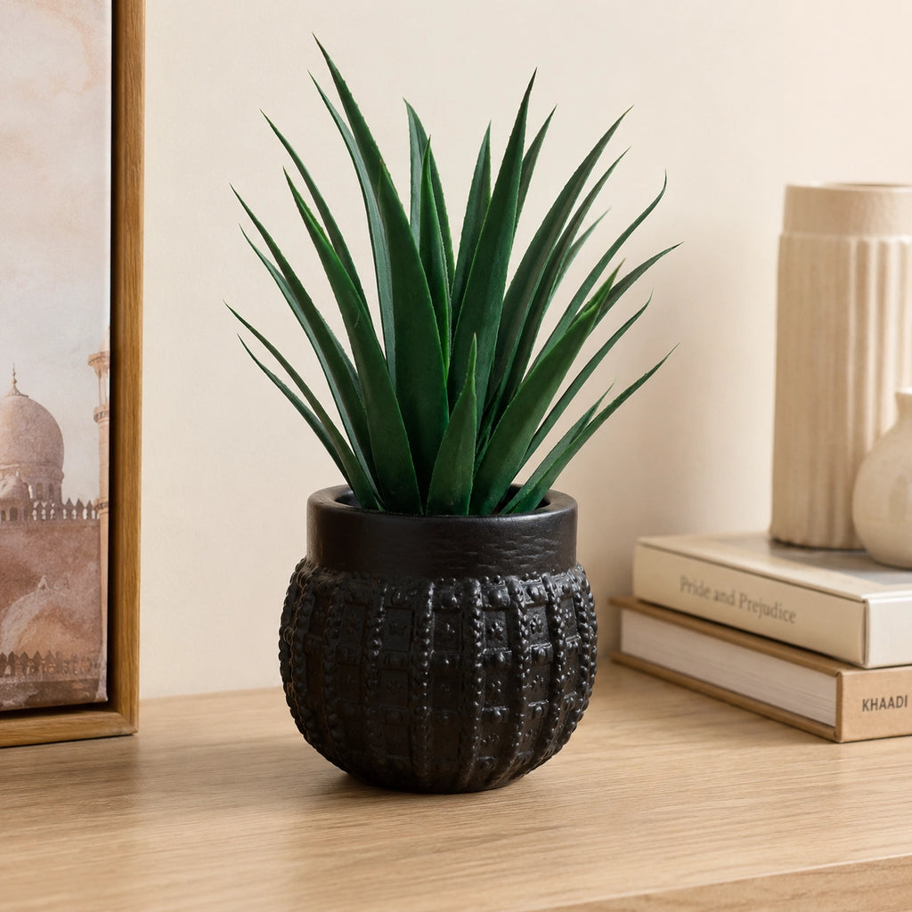 Artificial Aloe Vera Plant in Black Textured Pot – Pack of 2 lifestyle