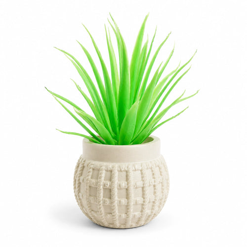 Artificial Aloe Vera Plant in White Textured Pot – Pack of 2