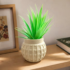 Artificial Aloe Vera Plant in White Textured Pot – Pack of 2 lifestyle