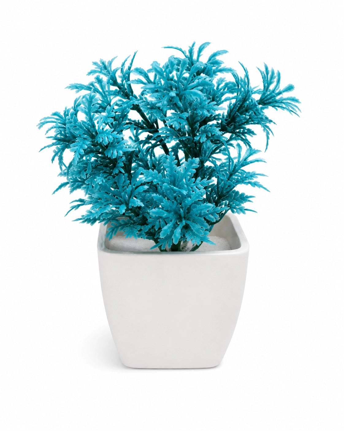 Artificial Blue Fern Plant in White Square Pot – Pack