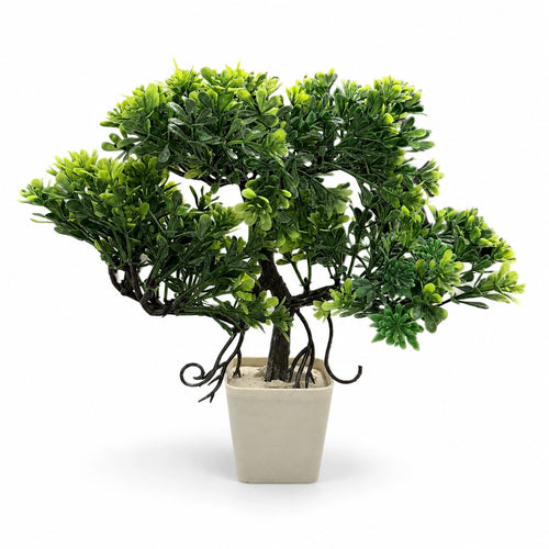Artificial Bonsai Tree Plant in Cream Square Pot – Pack of 2