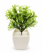Artificial Bright Green Fern Plant in White Square Pot – Pack of 5 lifestyle