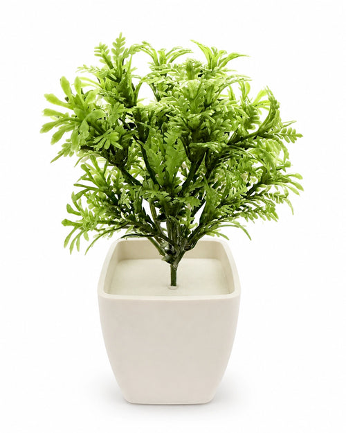 Artificial Bright Green Fern Plant in White Square Pot – Pack of 5 lifestyle