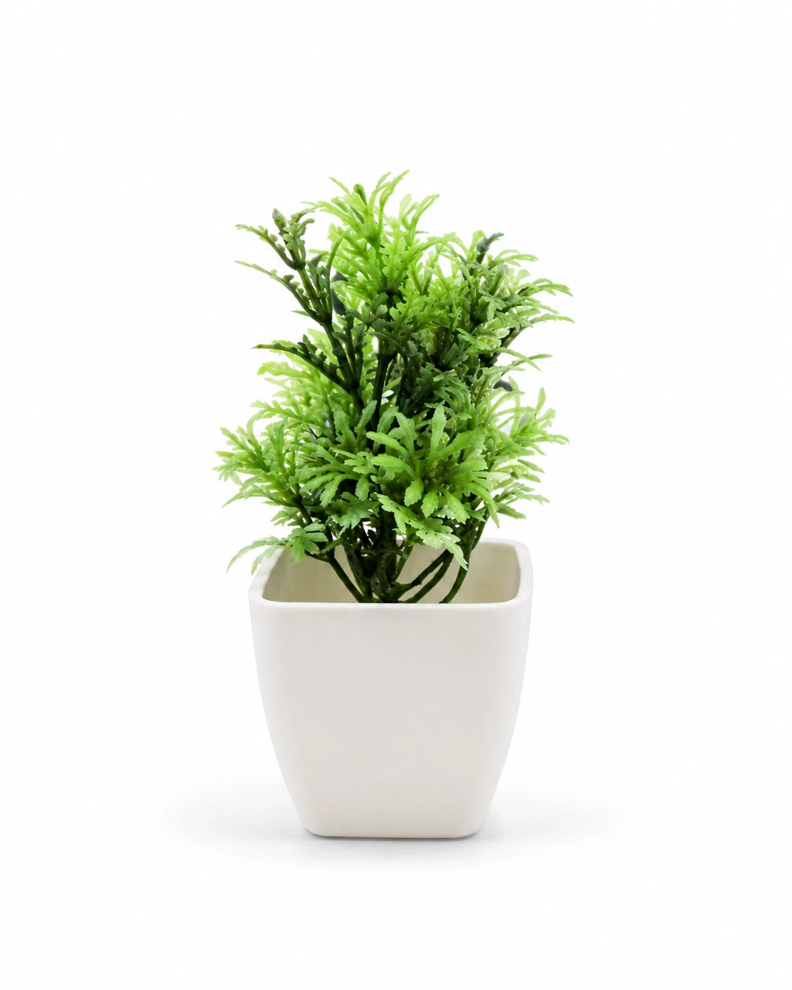 Assorted Small Artificial Plants in White Square Pots – Pack of 2