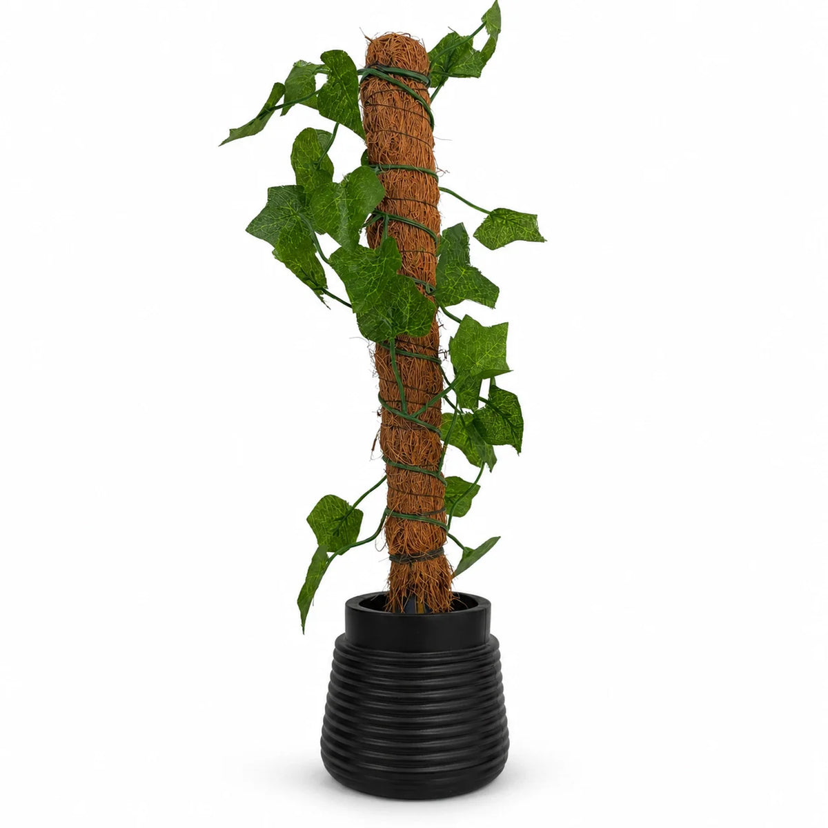 Artificial Money Plant with Coconut Stick – Pack of 2