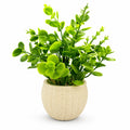 Artificial Green Coin Leaf Plant in White Round Pot – Pack of 2
