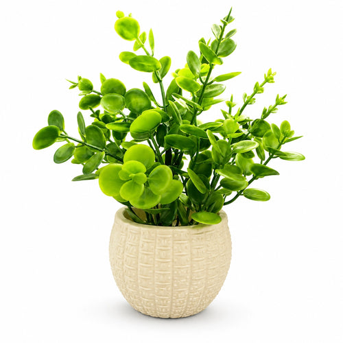 Artificial Green Coin Leaf Plant in White Round Pot – Pack of 2