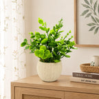 Artificial Green Coin Leaf Plant in White Round Pot – Pack of 2 lifestyle