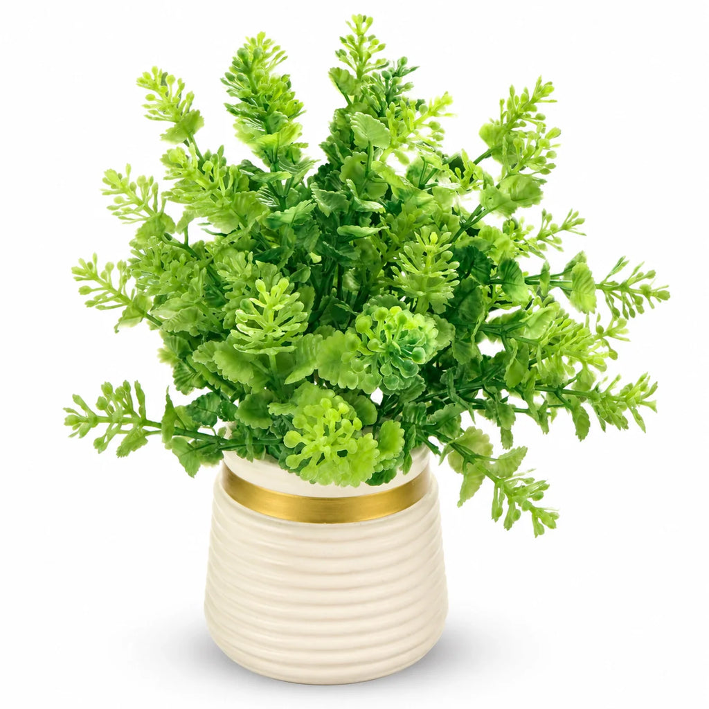 Artificial Green Fern Bush in White Ribbed Pot – Pack of 2