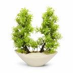 Artificial Green Fern Plant in Cream Bowl Pot – Pack of 2