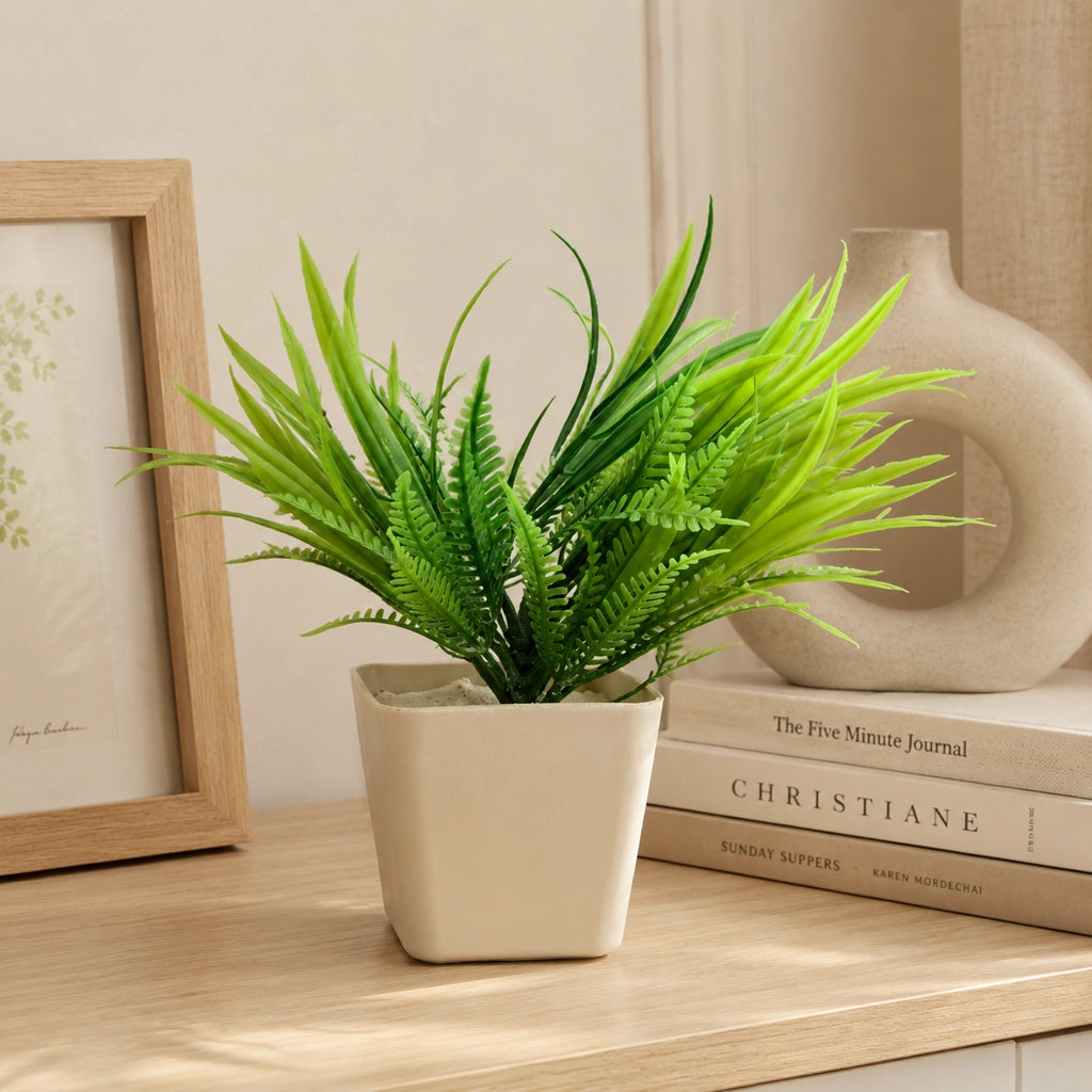 Artificial Green Fern Plant in Cream Square Pot – Pack of 2 lifestyle