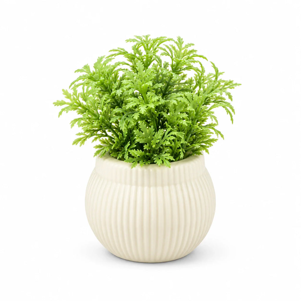 Artificial Small Green Fern Round Ribbed Pot – Pack