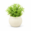 Artificial Small Green Fern Round Ribbed Pot – Pack