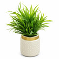 Artificial Green Grass Plant in White Pot – Pack of 2