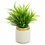 Artificial Green Grass Plant in White Pot – Pack of 2