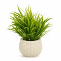 Artificial Green Grass Plant in White Round Pot – Pack of 2