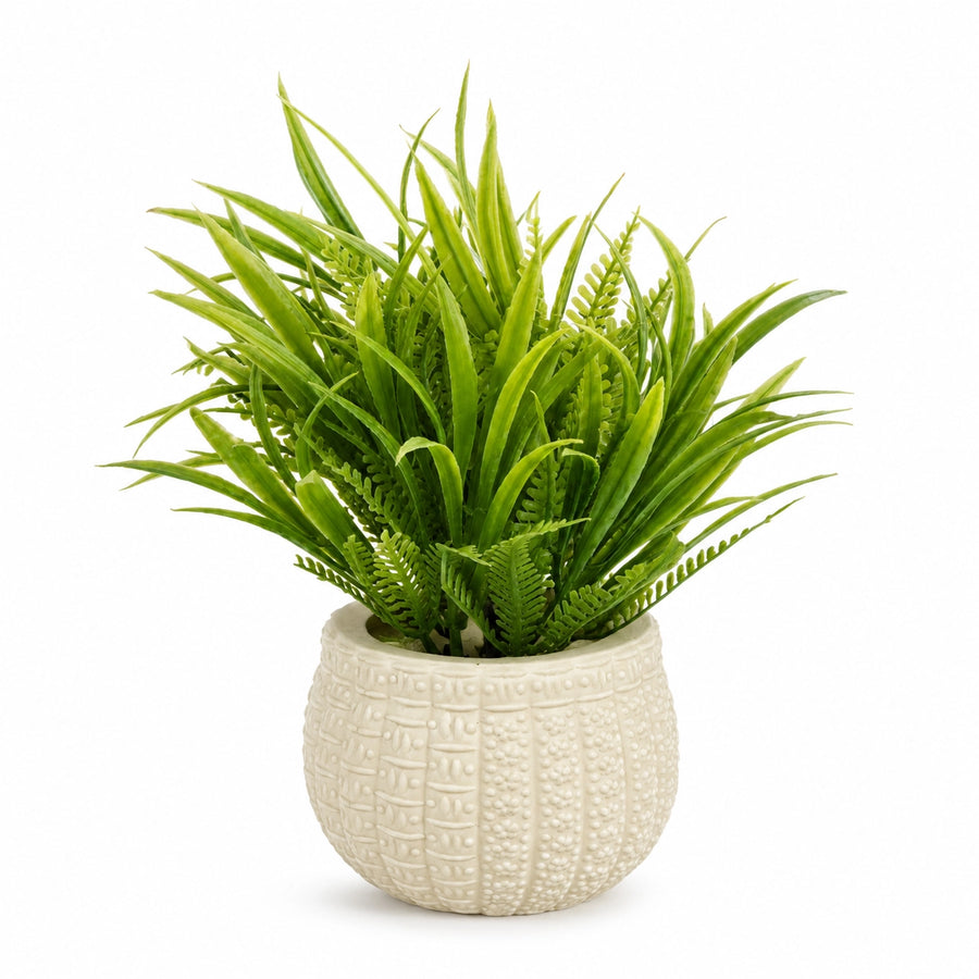 Assorted Small Artificial Plants in White Round Pots – Pack of 5