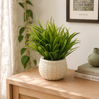Artificial Green Grass Plant in White Round Pot – Pack of 2 lifestyle