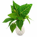 Artificial Green Leaf Plant in White Beaded Pot – Pack of 2