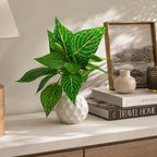 Artificial Green Leaf Plant in White Beaded Pot – Pack of 2 lifestyle