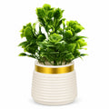 Artificial Green Rose Plant in White Ribbed Pot – Pack of 2