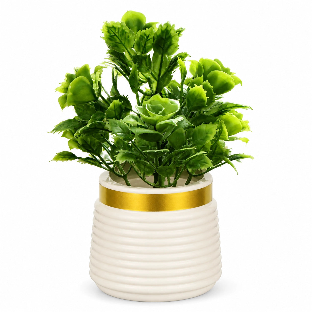 Artificial Green Rose Plant in White Ribbed Pot – Pack of 2