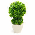 Artificial Green Topiary Plant in Cream Pot – Pack of 2