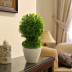 Artificial Green Topiary Plant in Cream Pot – Pack of 2 lifestyle