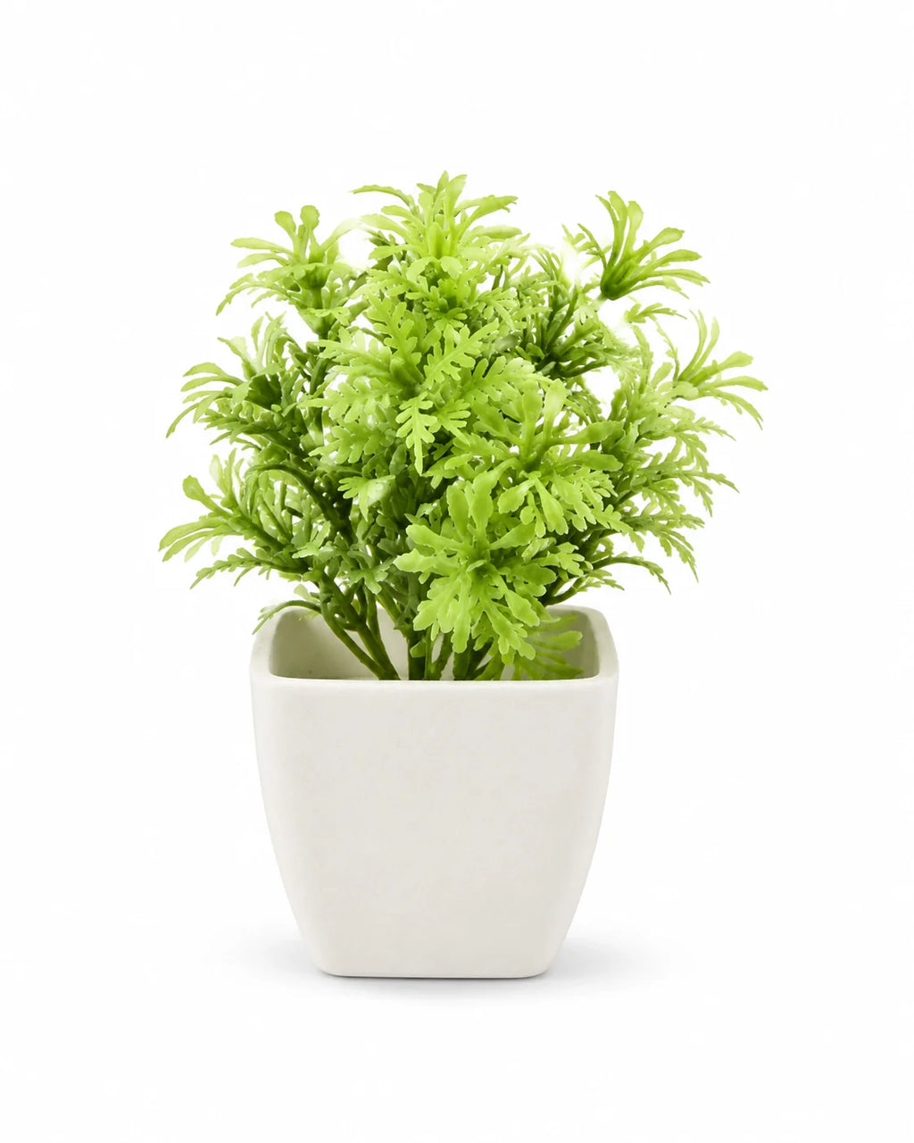 Artificial Light Green Fern Plant in White Square Pot – Pack