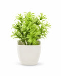 Artificial Light Green Fern Plant in White Square Pot – Pack