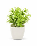 Artificial Light Green Fern Plant in White Square Pot – Pack