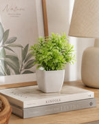 Artificial Light Green Fern Plant in White Square Pot – Pack of 5