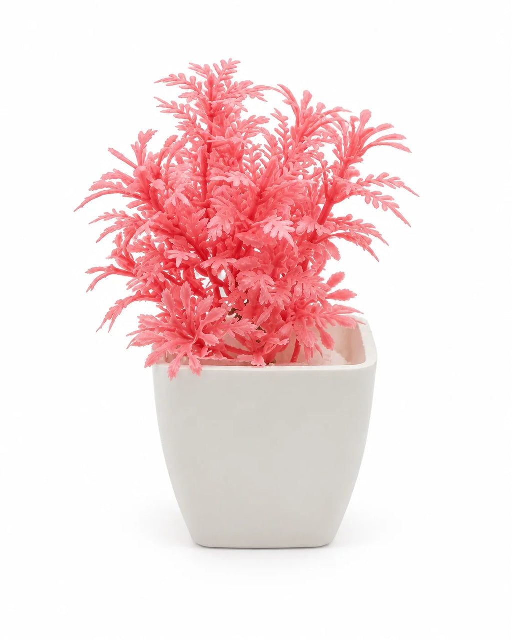 Artificial Pink Fern Plant in White Square Pot – Pack