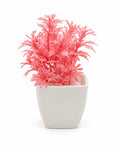 Artificial Pink Fern Plant in White Square Pot – Pack